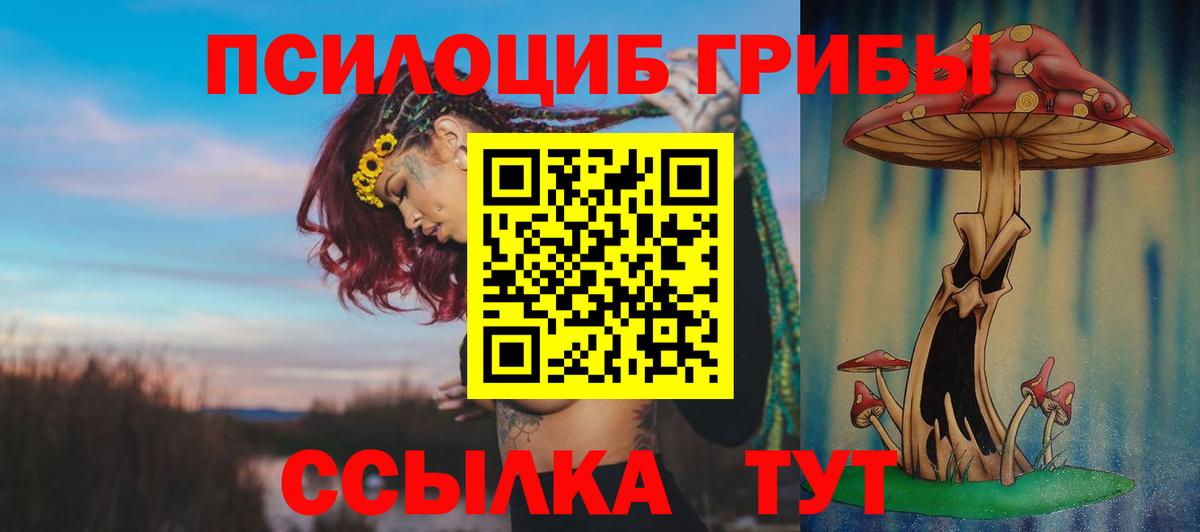 Галлюциногенные грибы мицелий Королёв